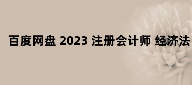 '百度网盘 2023 注册会计师 经济法'